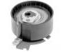 Time Belt Tensioner Pulley:0829.C8