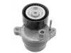 Belt Tensioner:276 200 03 70