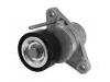 Belt Tensioner:82 00 933 753