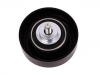 Idler Pulley:10070091810000