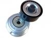 Belt Tensioner:10061920